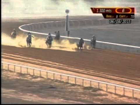 Resumen Jueves, 06 de Agosto de 2015 - Santa Rita