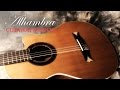Alhambra Guitars Cutaway Models
