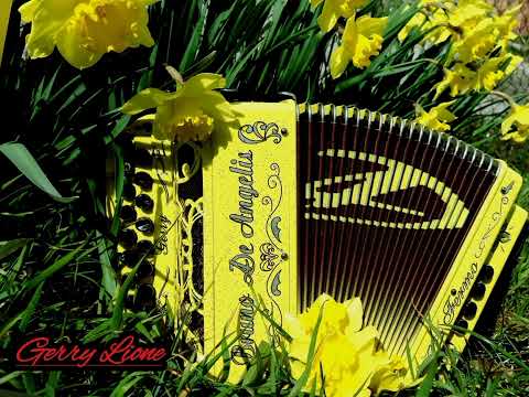 " Allegro Fox " (A.Bonifazi D.Calicchia C.Rossi) 🔴 Rec: Gerry Lione 🎵🪗