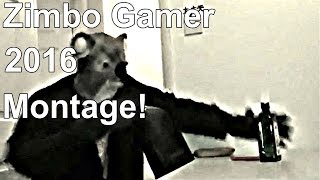 Best Of Zimbo Gaming 2016 - Montage
