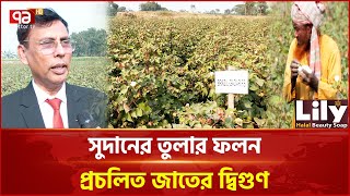 তিন জাতের তুলা বীজ ভাগ্য ঘুরিয়ে দিবে কৃষকদের