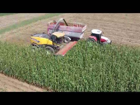 DOMAI MPD NEW HOLLAND FR900 SORGO (1)