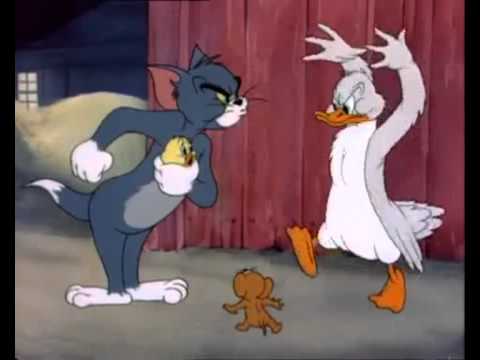 Funny Scene From Tom And Jerry