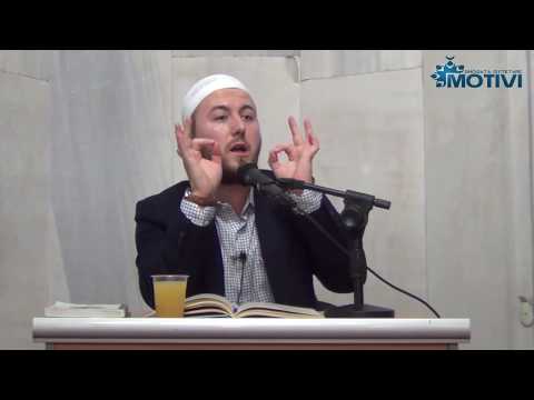 Syno arritje të mëdha në dituri