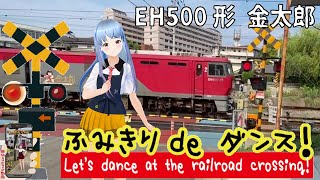 踏切動画 【踏切ダンス】貨物列車「金太郎」が来たよのダンス《縦動画＃11 》[Let's dance to the rhythm of the railroad crossing]