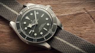 Tudor Black Bay 58 M79010SG-0002 Video thumbnail
