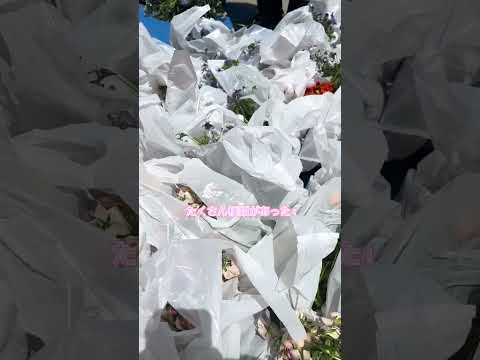 【日常】学生広報アンバサダーは日々動画のネタを探しています！　#shorts #芝浦工業大学 #芝浦工大 #sit #キャンパスライフ   #理工学部 #大学生  #理系 #SIT #大学公式