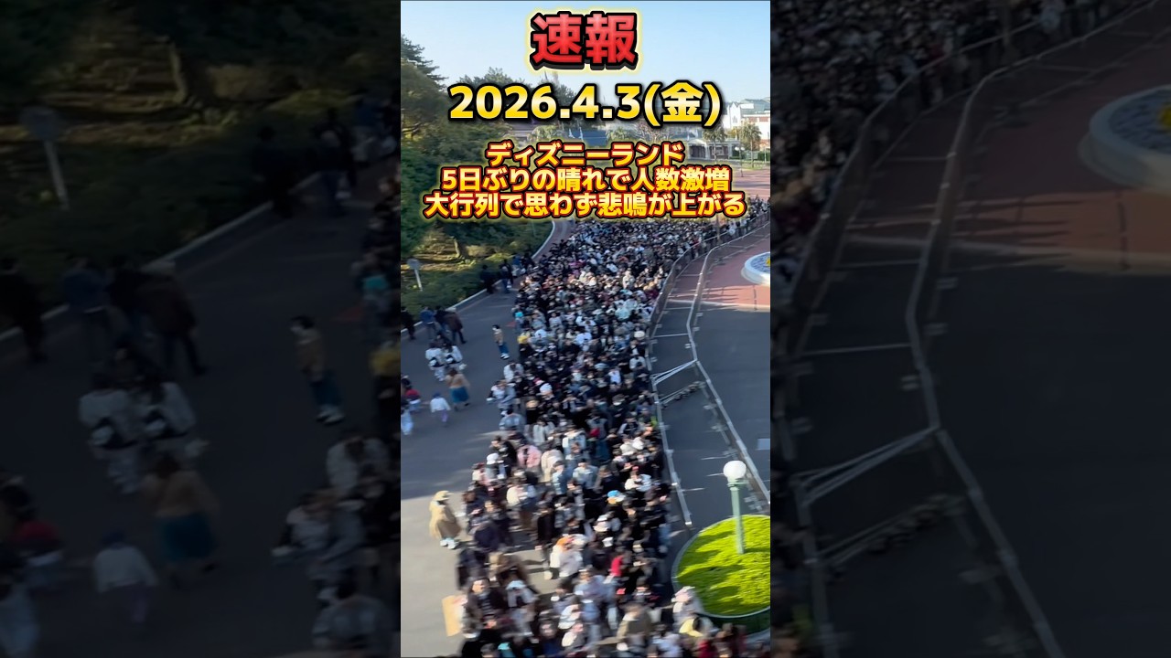 【速報】5日ぶりの晴れで地獄の混雑⁉️ディズニーランド最新混雑状況【2026.4.3】