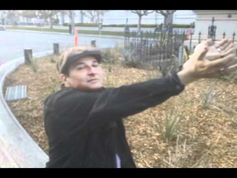 Satan's Balls   AMOR HILTON