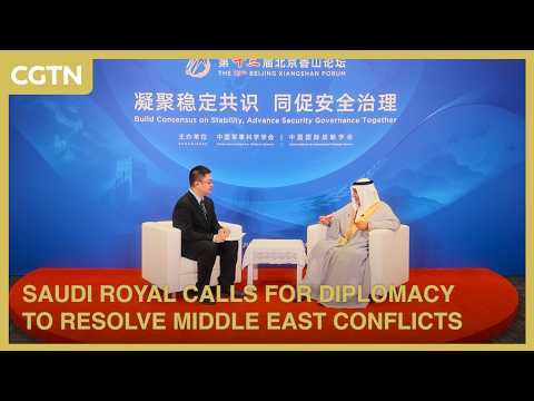 Saudi royal calls for diplomacy to resolve Middle East conflicts