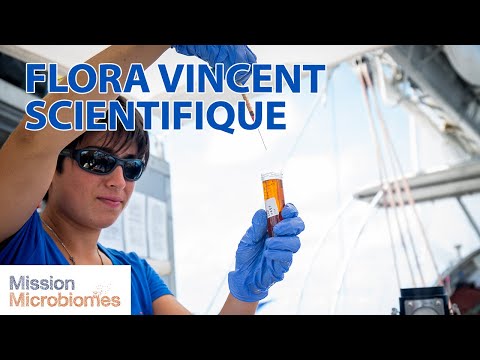 Interview de Flora Vincent, scientifique à bord de Tara | Mission Microbiomes