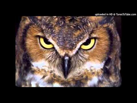 Michael J Woods & The Blue Woods Band - Precious Time