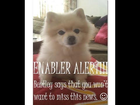 Enabler Alert: Crafter's Companion Flash Sale (Thank You, Becky!)