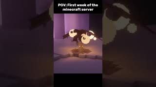 pov every minecraft server