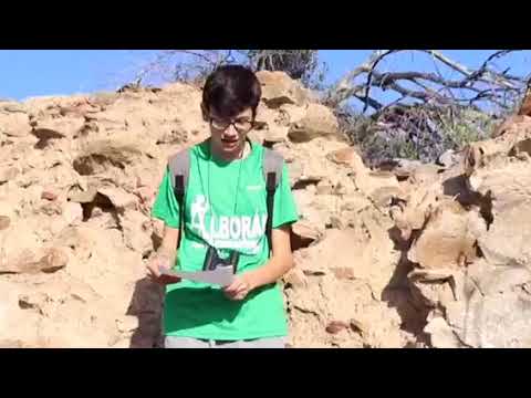 Buscando la receta perdida