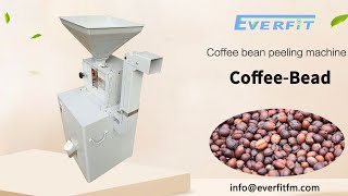 Small Cocoa Bean Peeling Machine | Coffee bean peeling machine