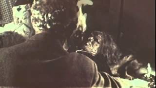 The She Beast (1966) Video