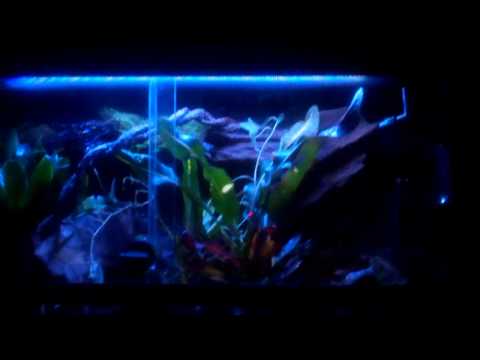 Tetra Repto Habitat with Current LED, Exo Terra Monsoon