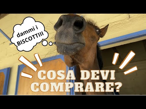 Prendi un CAVALLO?🐴ecco TUTTO quello che serve 🥰