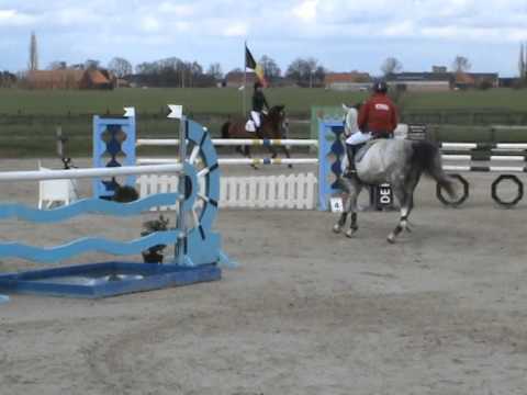 Bienno v/h Sonnishof 7y old by Coup De Coeur X coriolan