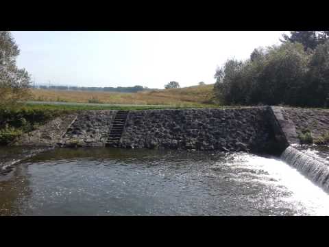 Словакия Trout union cup