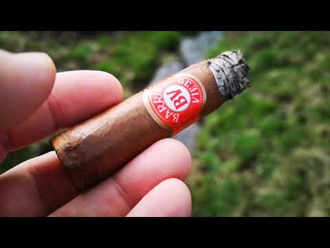 Barrio Viejo Robusto Zigarren Review