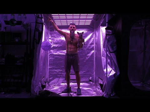 ALVX TXG - PRIMER STRIKE | INDOOR SESSION 01