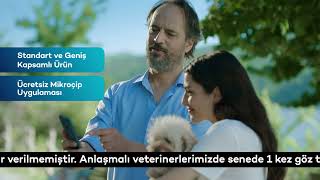 Sempati Evcil Hayvan Sigortası Türkiye Sigorta’da!
