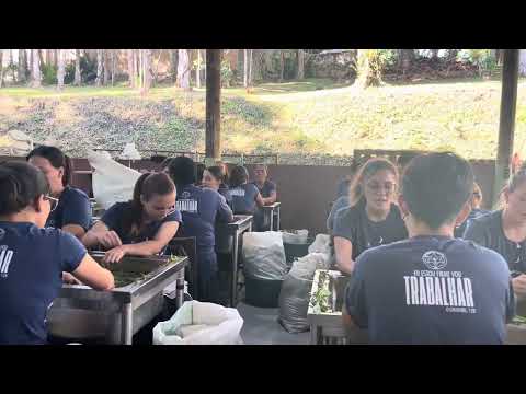 "Unaqui" O Cruzeiro, 11 | Céu da Nova Vida - Daime