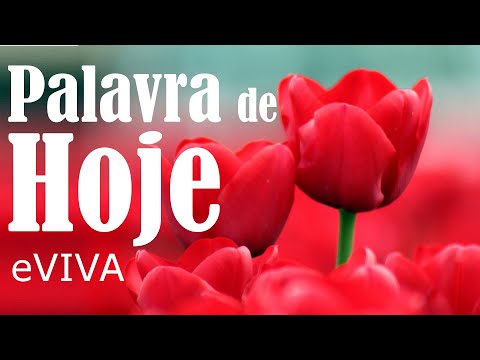 WORD OF THE DAY MAY 20, 2022 | MOTIVATION AND REFLECTION GOOD MORNING MESSAGE AND MORNING PRAYER ...