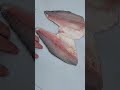 Butterfly The Big Walleyes And Eat That Belly Meat Fishing Fishinglife Wisconsin
