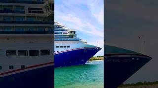Carnival Vista 🛳️ #travel #comment #subscribe #cruiseship #cruise #vacation #shorts #short #fun #yt