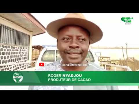 ECHOES FROM THE REGIONS of Thursday 01/27/2022 - Canal 2 international