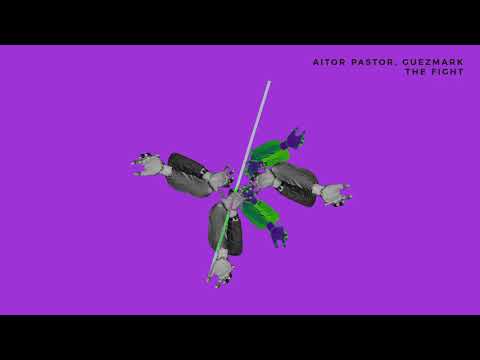 Aitor Pastor & Guezmark - The Fight (Original Mix) // RIM