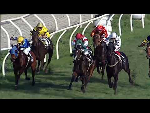 Napoli Galoppo 29/12/2022 - 3ª corsa