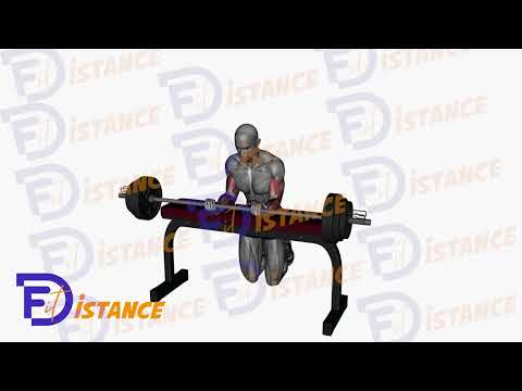 Exercice Flexions des poignets avec barre en supination sur un banc