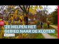 Kunstenaars hielden 40 jaar geleden de tanks uit het Strubben Kniphorstbos | ROEG! | RTV Drenthe