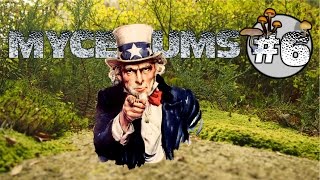 Obéissance - Mycéliums 6