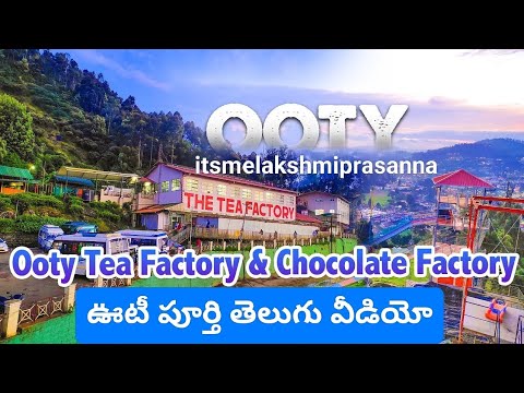Ooty coffee factory and tea factory video || natural beans coffee factory || itsmelakshmiprasanna09