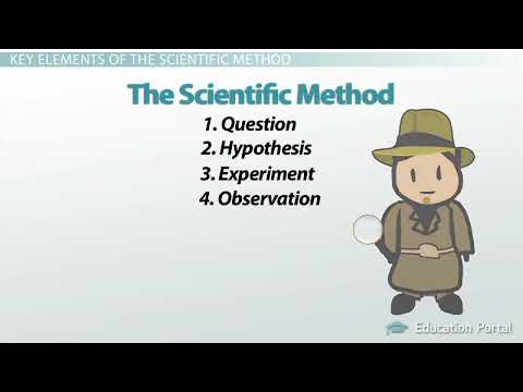 The Scientific Method Steps, Terms and Examples