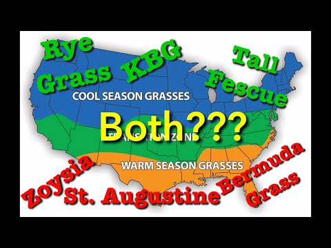 YouTube video about Chill or Heat? Figuring Out the Best Grass for Your Lawn