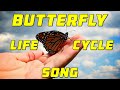 BUTTERFLY LIFE CYCLE SONG | egg, caterpillar, chrysalis, butterfly