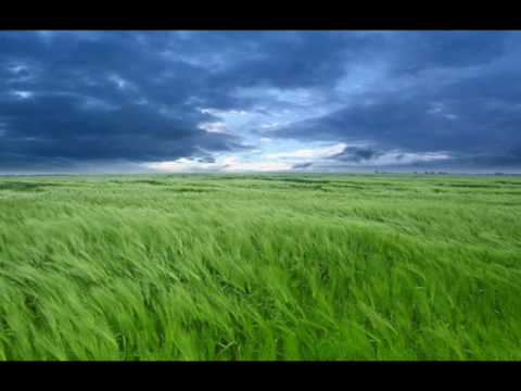 DD synthesis - Ljubov i smrt