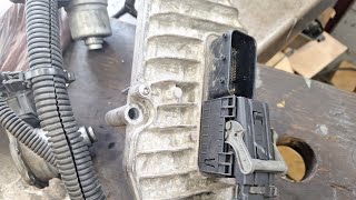 Removing Stuck TCM Connectors! Ford Focus / Fiesta DPS6