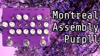 Video thumbnail for Montreal Assembly Purpll - P is for PLL by The Erratic Pedal Adventures