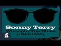 Sonny Terry - Custard Pie Blues