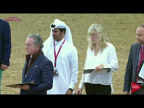 246 ROUHE AL SHAHANIA - 21st Qatar National 2018