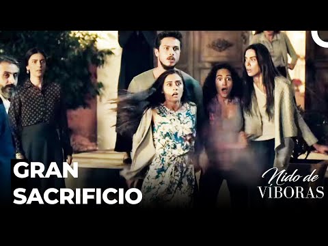 Elvan Le Salva A Ejder - Nido De Víboras