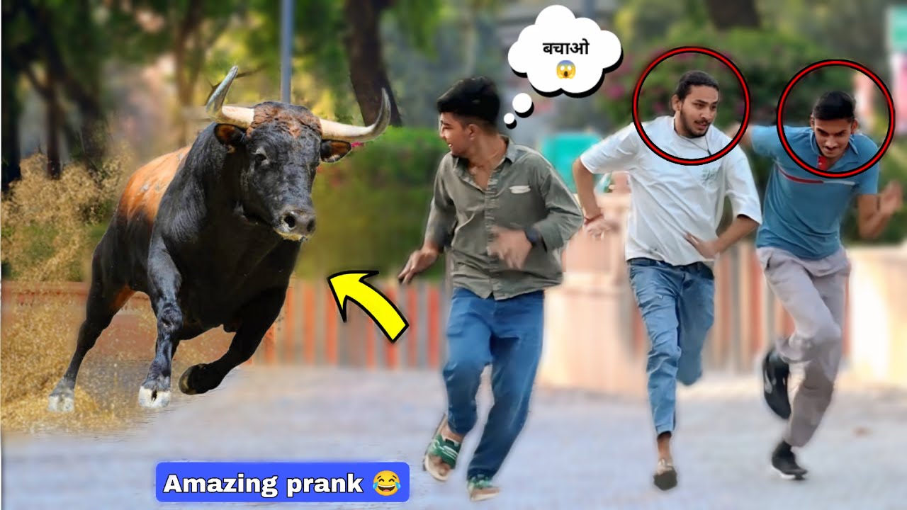 Top 10 prank video || Best Reactions || prank video funny || Jaipur entertainment 