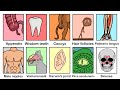 Every Useless Human Organ Explained in 9 Minutes